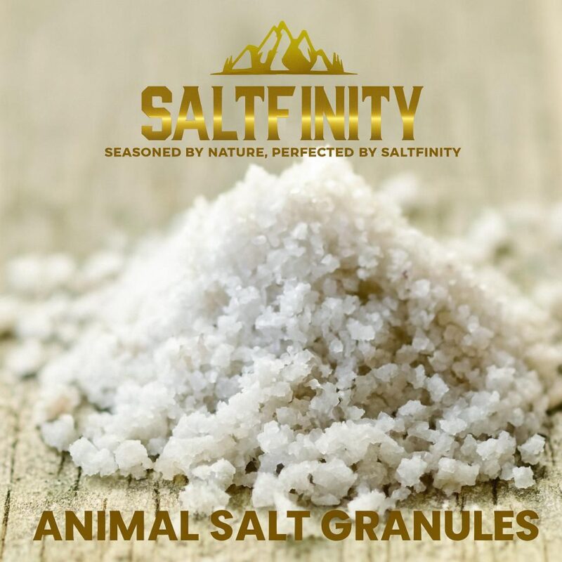 Himalayan Animal Lick Salt - Image 6